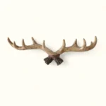 Porte-manteau Mural Bois De Cerf En Résine